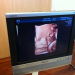 IMG_1306 IMG_1306.jpg