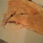 091009_2159~0001 091009_2159~0001