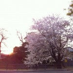 1000002166 1000002166.JPG