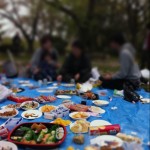 1000002214 1000002214.JPG