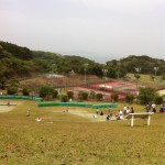 1000002227 1000002227.JPG