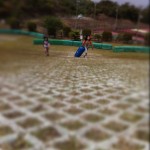 1000002229 1000002229.JPG